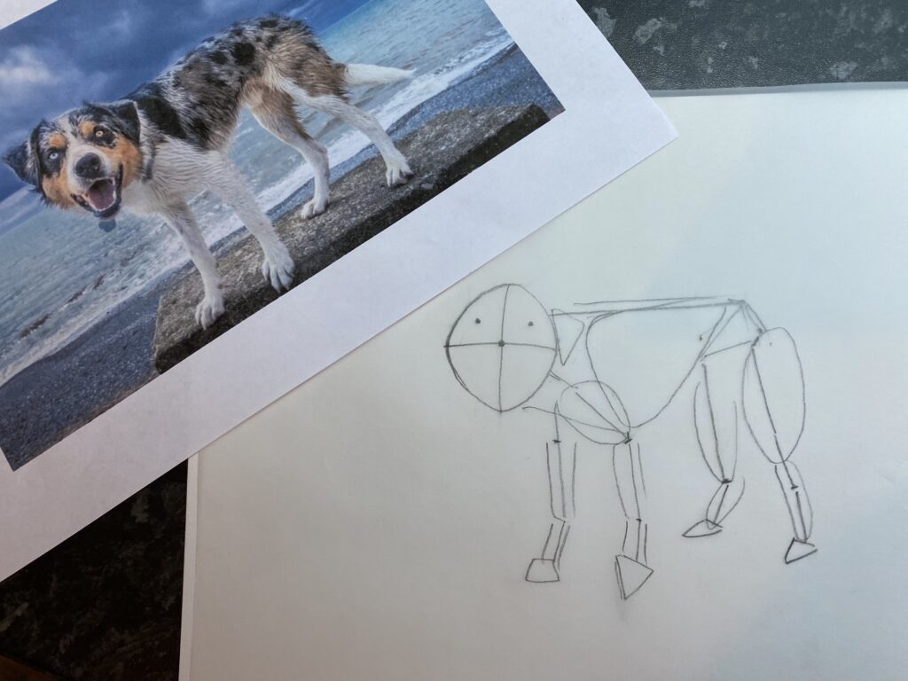 How to Draw a Dog in 4 Easy Steps