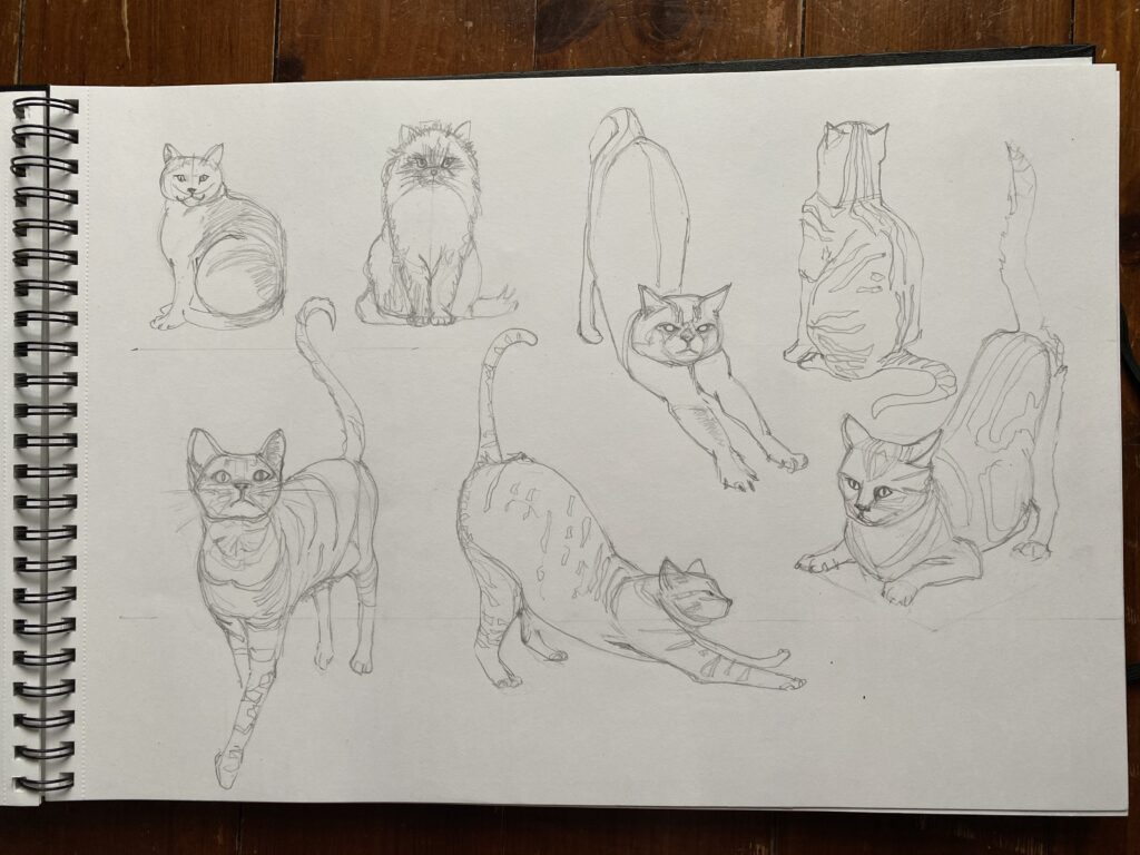 How to Draw a Cat! - Emily's Notebook