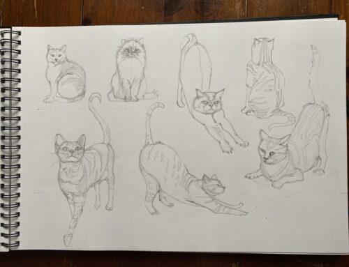 How to Draw a Cat!