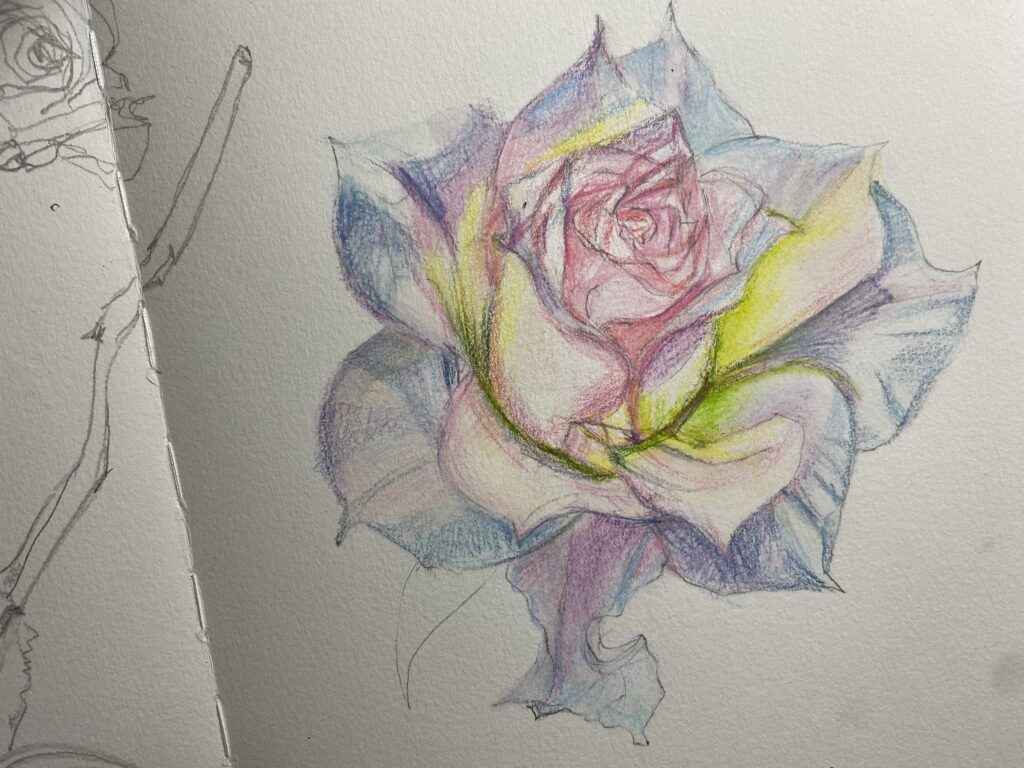 How to Draw A rose with Pencil Step by Step-saigonsouth.com.vn