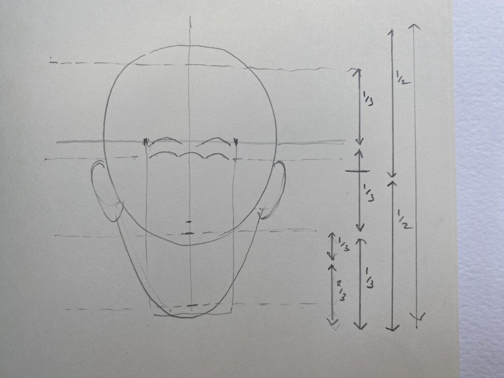 Face Proportions Drawing Art - Drawing Skill
