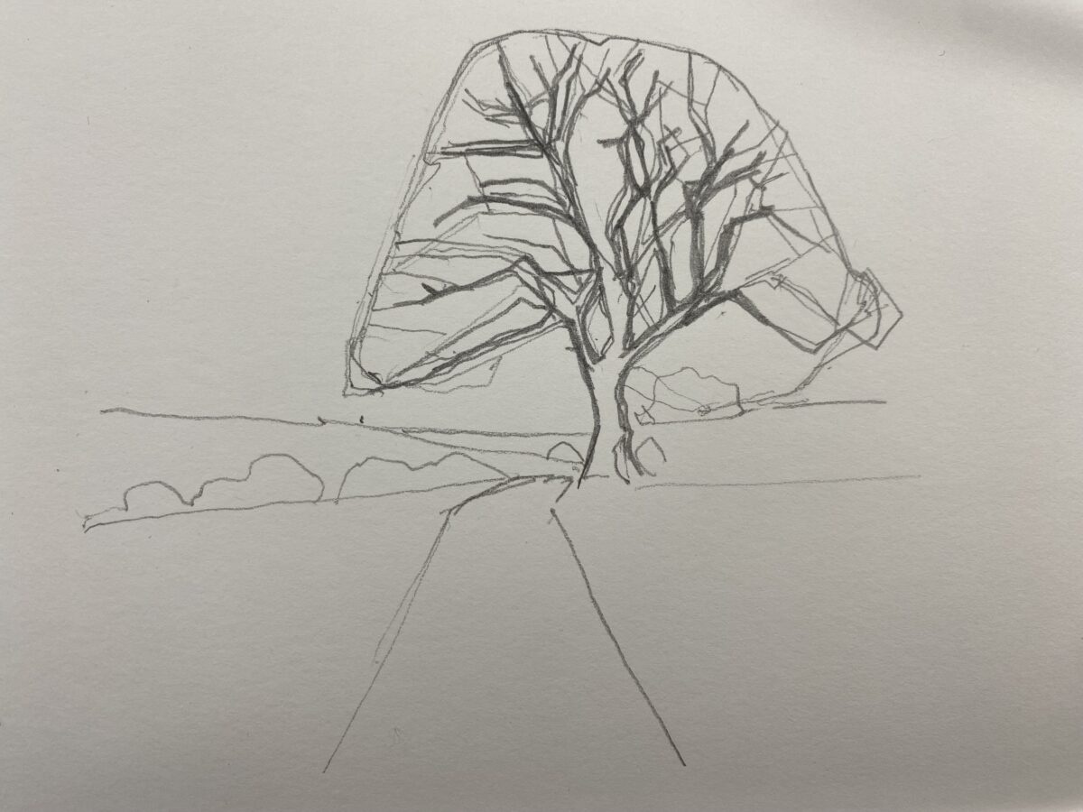 How to Draw Trees
